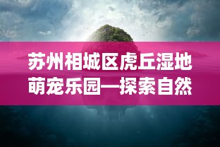 苏州相城区虎丘湿地萌宠乐园—探索自然与动物的奇妙之旅