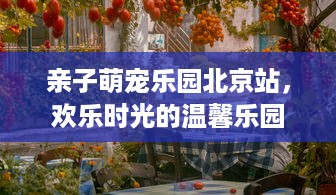 亲子萌宠乐园北京站，欢乐时光的温馨乐园