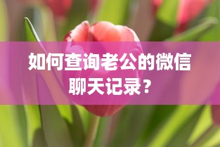 如何查询老公的微信聊天记录？