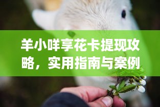 羊小咩享花卡提现攻略，实用指南与案例分析