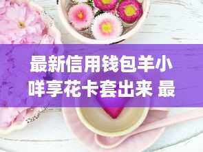 最新信用钱包羊小咩享花卡套出来 最新信用钱包羊小咩享花卡，轻松套现，你的消费新伙伴！