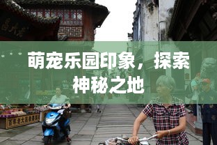 萌宠乐园印象，探索神秘之地