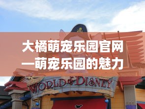 大橘萌宠乐园官网—萌宠乐园的魅力与体验
