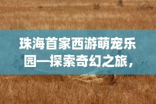 珠海首家西游萌宠乐园—探索奇幻之旅，与动物们零距离接触