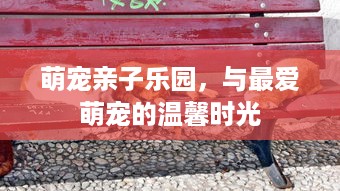 萌宠亲子乐园，与最爱萌宠的温馨时光