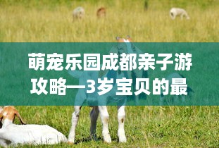 萌宠乐园成都亲子游攻略—3岁宝贝的最佳玩伴