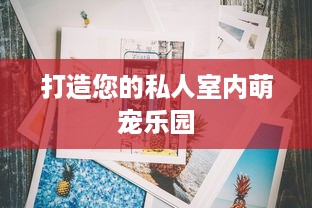 打造您的私人室内萌宠乐园