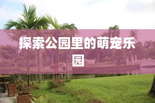 探索公园里的萌宠乐园