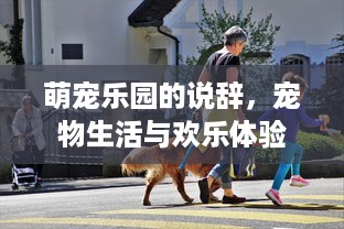 萌宠乐园的说辞，宠物生活与欢乐体验