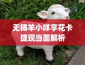 无锡羊小咩享花卡提现当面解析