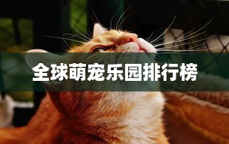 全球萌宠乐园排行榜
