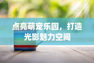 点亮萌宠乐园，打造光影魅力空间