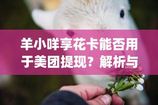 羊小咩享花卡能否用于美团提现？解析与实例详解