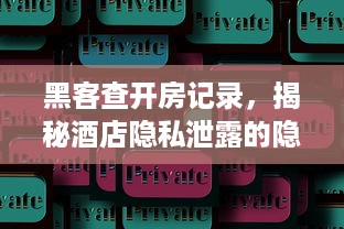 黑客查开房记录，揭秘酒店隐私泄露的隐秘角落