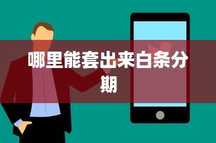 哪里能套出来白条分期