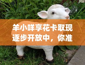 羊小咩享花卡取现逐步开放中，你准备好了吗？