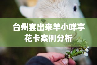 台州套出来羊小咩享花卡案例分析