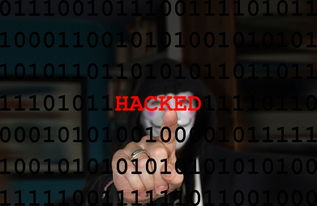 网上黑客联系方式多少 揭秘网络黑客的神秘世界，联系方式揭秘与案例分析