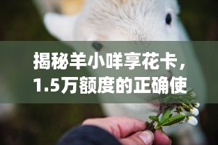 揭秘羊小咩享花卡，1.5万额度的正确使用与风险规避指南