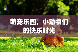 萌宠乐园，小动物们的快乐时光