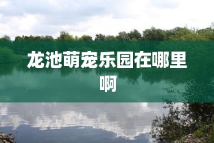 龙池萌宠乐园在哪里啊