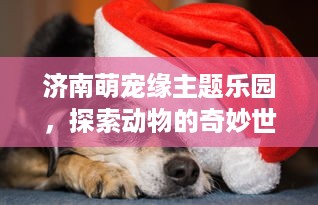 济南萌宠缘主题乐园，探索动物的奇妙世界