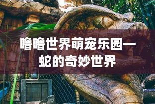 噜噜世界萌宠乐园—蛇的奇妙世界