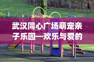 武汉同心广场萌宠亲子乐园—欢乐与爱的乐园
