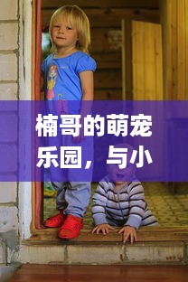 楠哥的萌宠乐园，与小生命的温馨故事