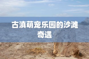 古滇萌宠乐园的沙滩奇遇
