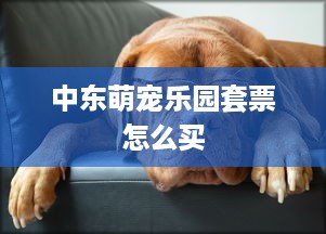 中东萌宠乐园套票怎么买