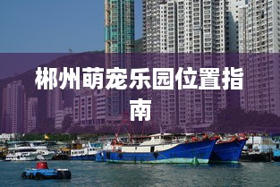 郴州萌宠乐园位置指南