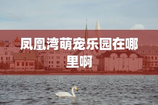 凤凰湾萌宠乐园在哪里啊