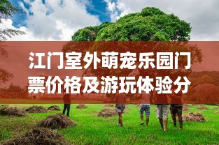 江门室外萌宠乐园门票价格及游玩体验分享