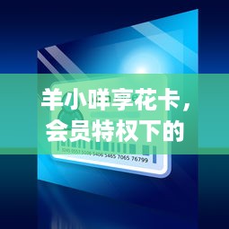 羊小咩享花卡，会员特权下的提现操作详解