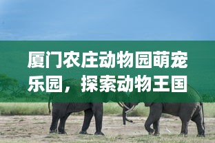 厦门农庄动物园萌宠乐园，探索动物王国的奇幻之旅