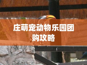 庄萌宠动物乐园团购攻略
