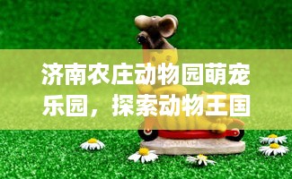 济南农庄动物园萌宠乐园，探索动物王国的欢乐之旅