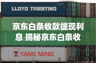 京东白条收款提现利息 揭秘京东白条收款提现利息，费用明细、案例解析及省钱攻略