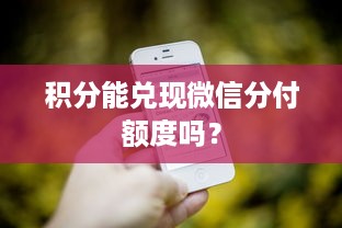 积分能兑现微信分付额度吗？