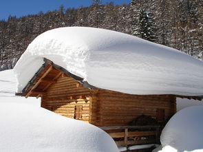 宁波冰雪萌宠乐园位置大公开