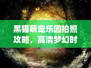 黑猫萌宠乐园拍照攻略，高清梦幻时刻