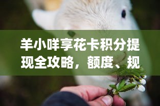 羊小咩享花卡积分提现全攻略，额度、规则、避坑指南