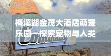 梅溪湖金茂大酒店萌宠乐园—探索宠物与人类的奇妙互动体验