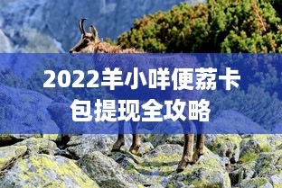 2022羊小咩便荔卡包提现全攻略
