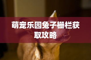 萌宠乐园兔子栅栏获取攻略