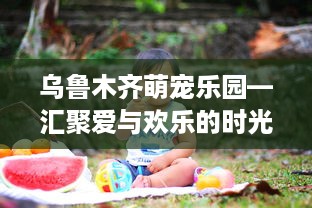 乌鲁木齐萌宠乐园—汇聚爱与欢乐的时光