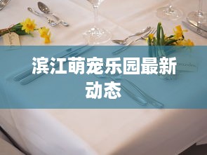 滨江萌宠乐园最新动态