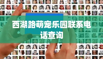 西湖路萌宠乐园联系电话查询