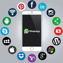 iPhone 4S陌陌聊天记录删除后怎么恢复？手把手教你找回重要信息